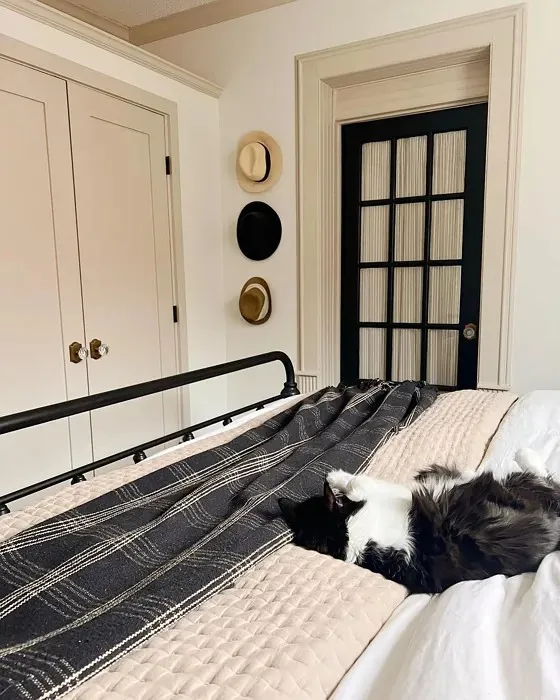 5 Best Paint Colors for a South Facing Bedroom That Glow in Natural Light smallhometours.com 3