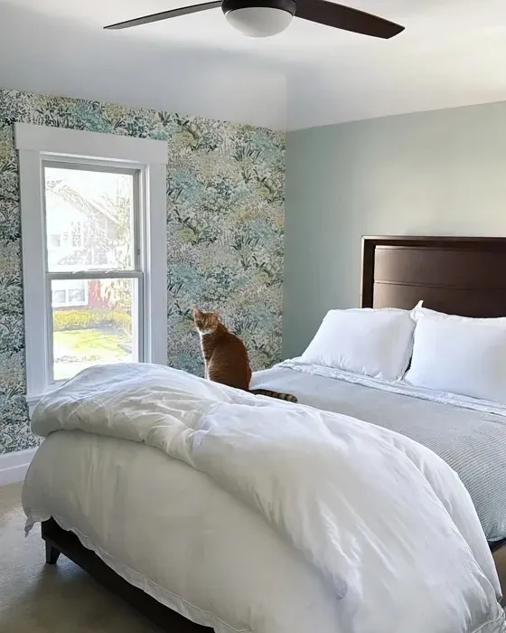 5 Best Paint Colors for a South Facing Bedroom That Glow in Natural Light smallhometours.com 8