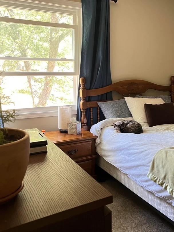 5 Best Paint Colors for an East Facing Bedroom Warm Calm Picks That Feel Right All Day smallhometours.com 2