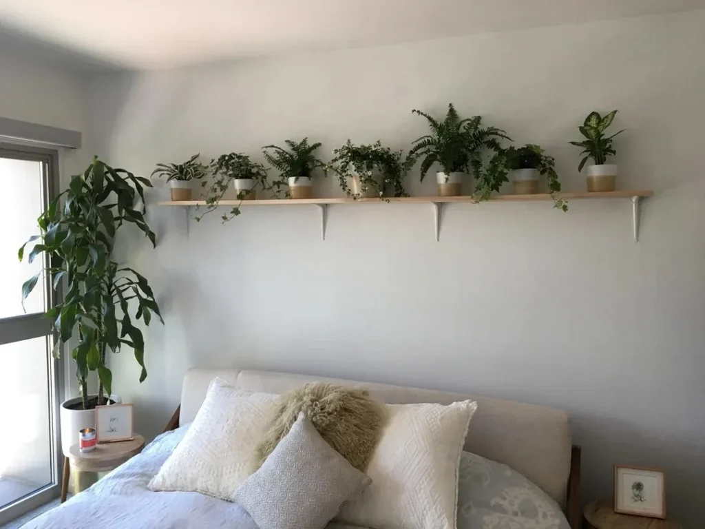 Minimalist bedroom with a light gray wall, a floating wooden shelf above the bed holding multiple potted green plants, neutral bedding with textured throw pillows, and a tall indoor plant by a sliding glass door.