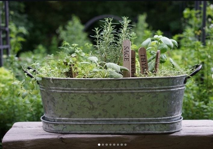 12 Antique Container Garden Ideas Vintage Charm for Any Space smallhometours.com 1 2