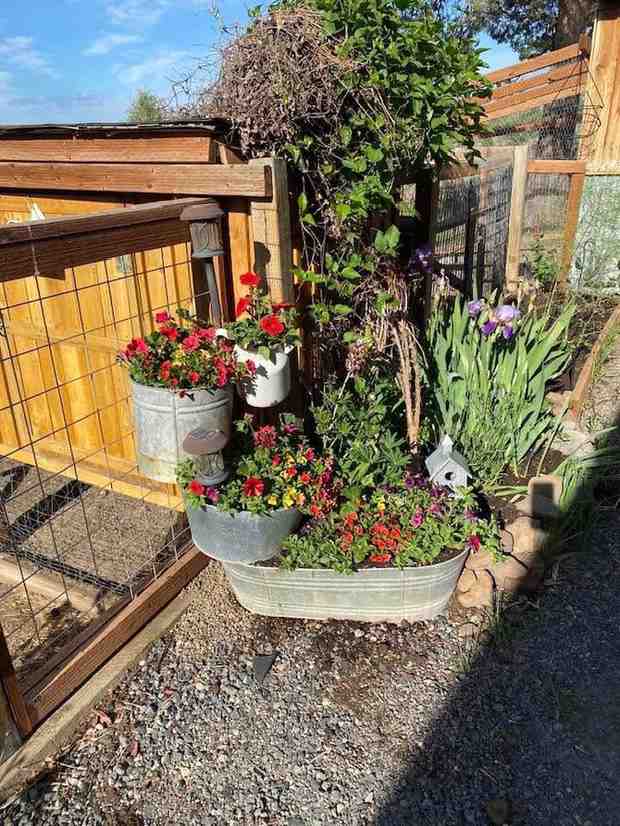 12 Antique Container Garden Ideas Vintage Charm for Any Space smallhometours.com 11