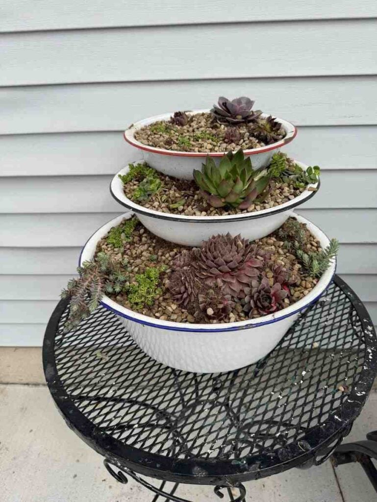 12 Antique Container Garden Ideas Vintage Charm for Any Space smallhometours.com 13