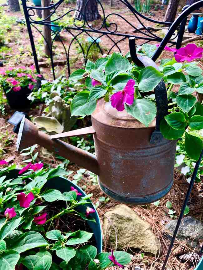 12 Antique Container Garden Ideas Vintage Charm for Any Space smallhometours.com 15