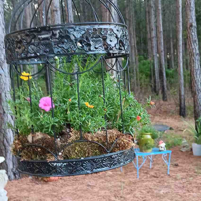 12 Antique Container Garden Ideas Vintage Charm for Any Space smallhometours.com 18