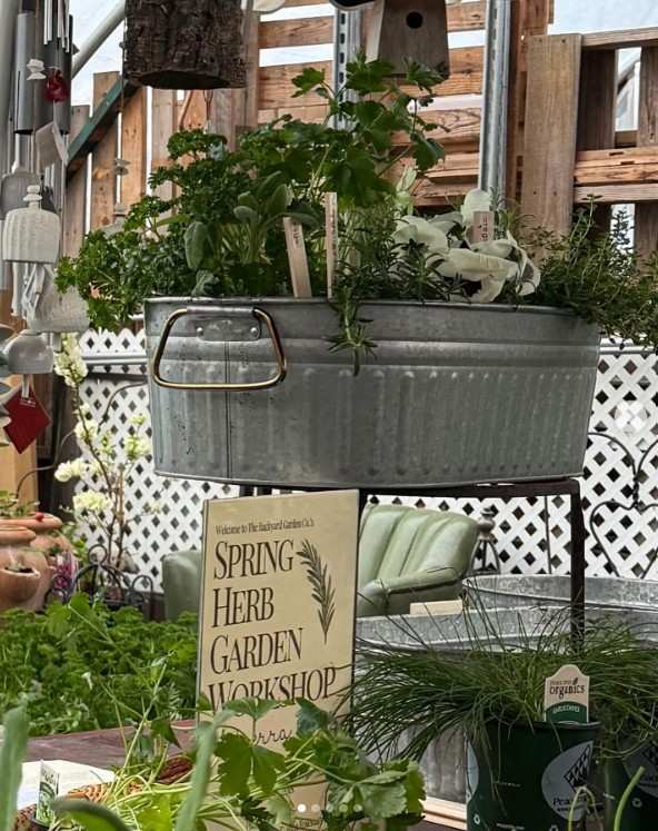 12 Antique Container Garden Ideas Vintage Charm for Any Space smallhometours.com 2 2