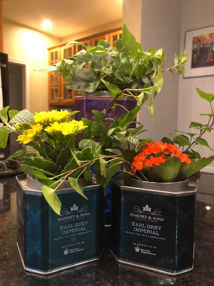 12 Antique Container Garden Ideas Vintage Charm for Any Space smallhometours.com 2