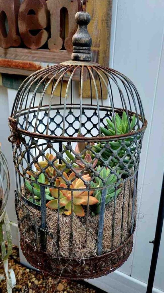 12 Antique Container Garden Ideas Vintage Charm for Any Space smallhometours.com 20