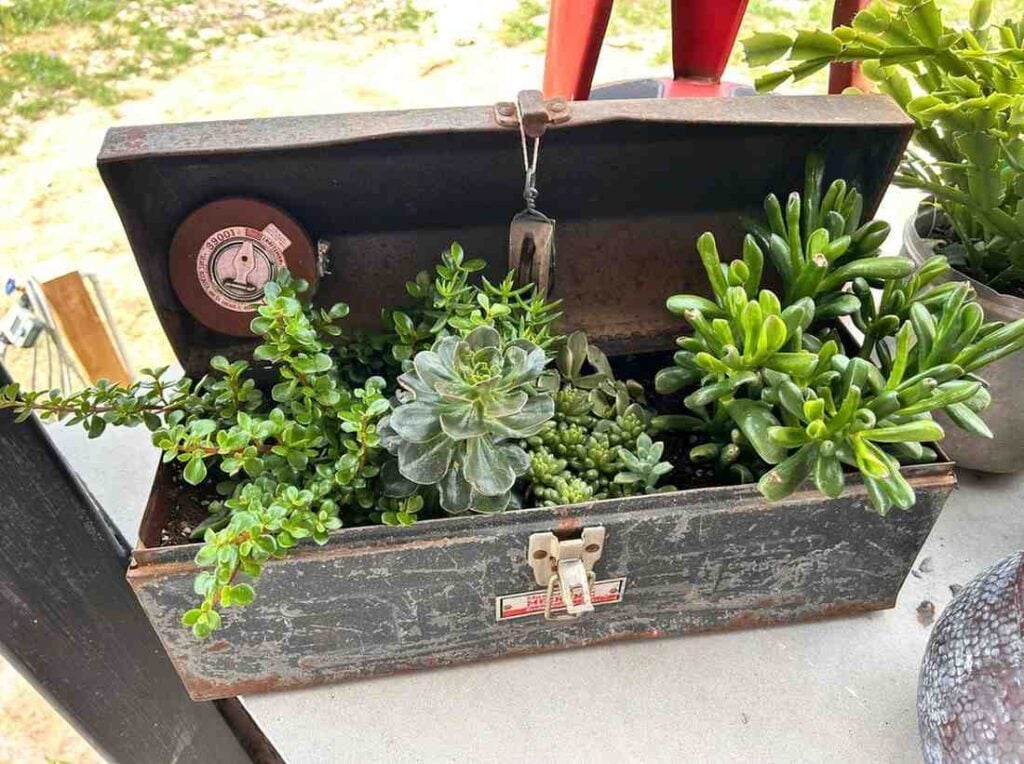 12 Antique Container Garden Ideas Vintage Charm for Any Space smallhometours.com 21