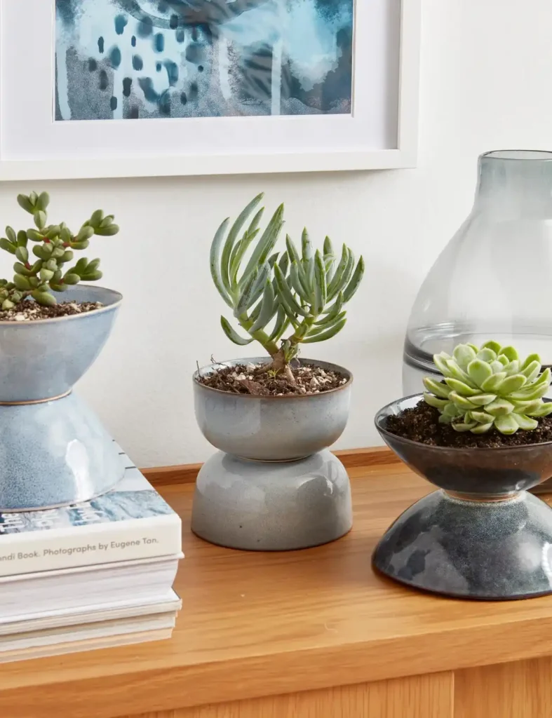 12 Antique Container Garden Ideas Vintage Charm for Any Space smallhometours.com 22