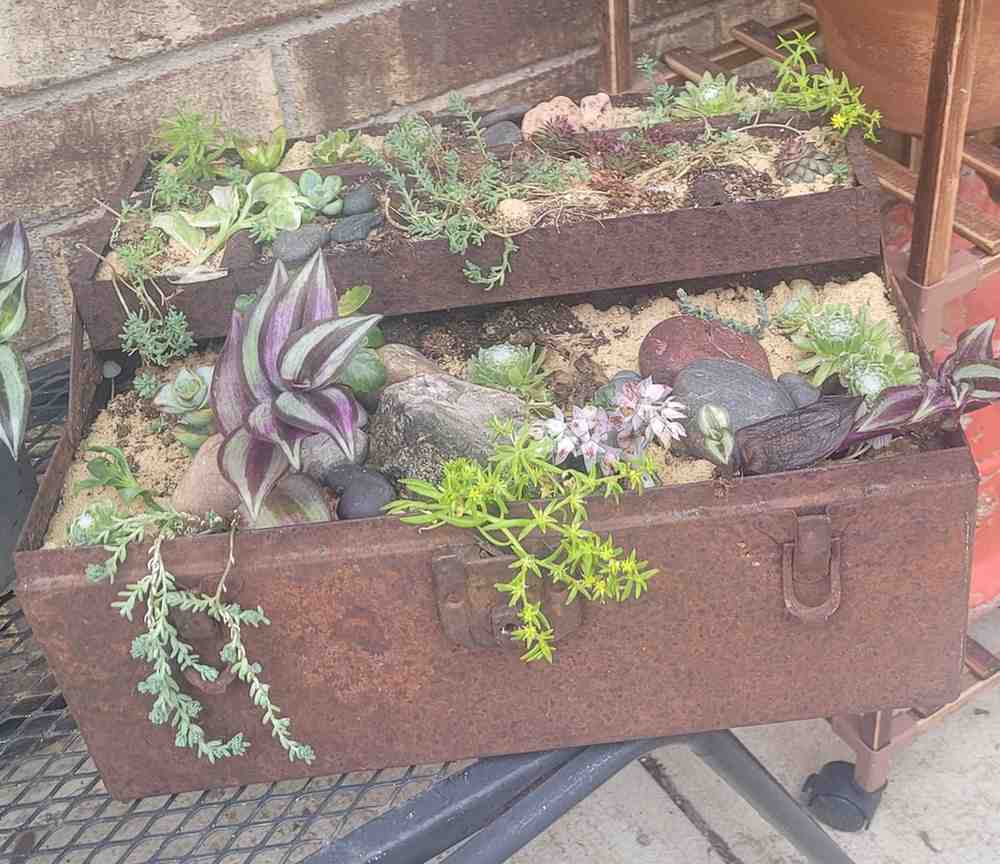 12 Antique Container Garden Ideas Vintage Charm for Any Space smallhometours.com 22