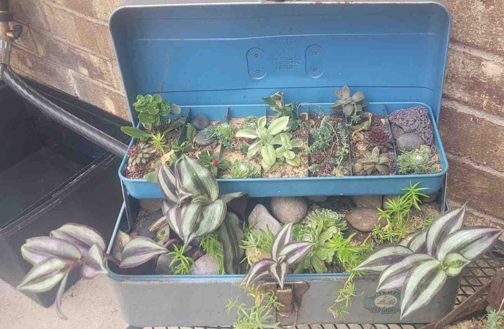 12 Antique Container Garden Ideas Vintage Charm for Any Space smallhometours.com 23