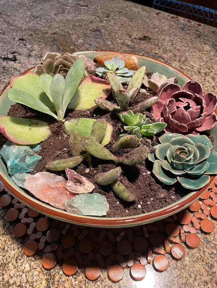 12 Antique Container Garden Ideas Vintage Charm for Any Space smallhometours.com 24 1