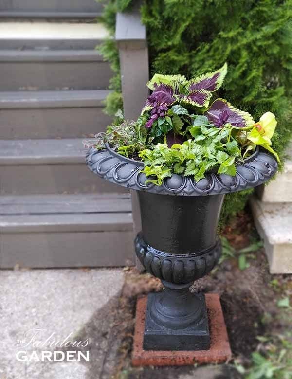 12 Antique Container Garden Ideas Vintage Charm for Any Space smallhometours.com 26