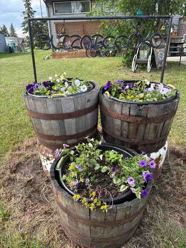 12 Antique Container Garden Ideas Vintage Charm for Any Space smallhometours.com 27