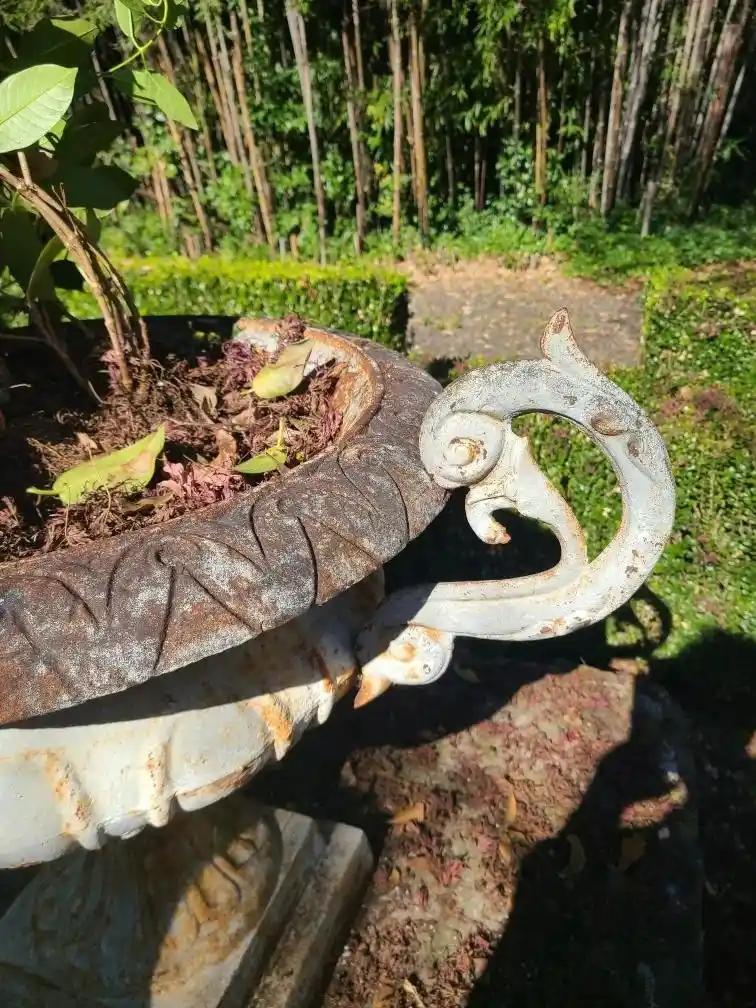 12 Antique Container Garden Ideas Vintage Charm for Any Space smallhometours.com 27