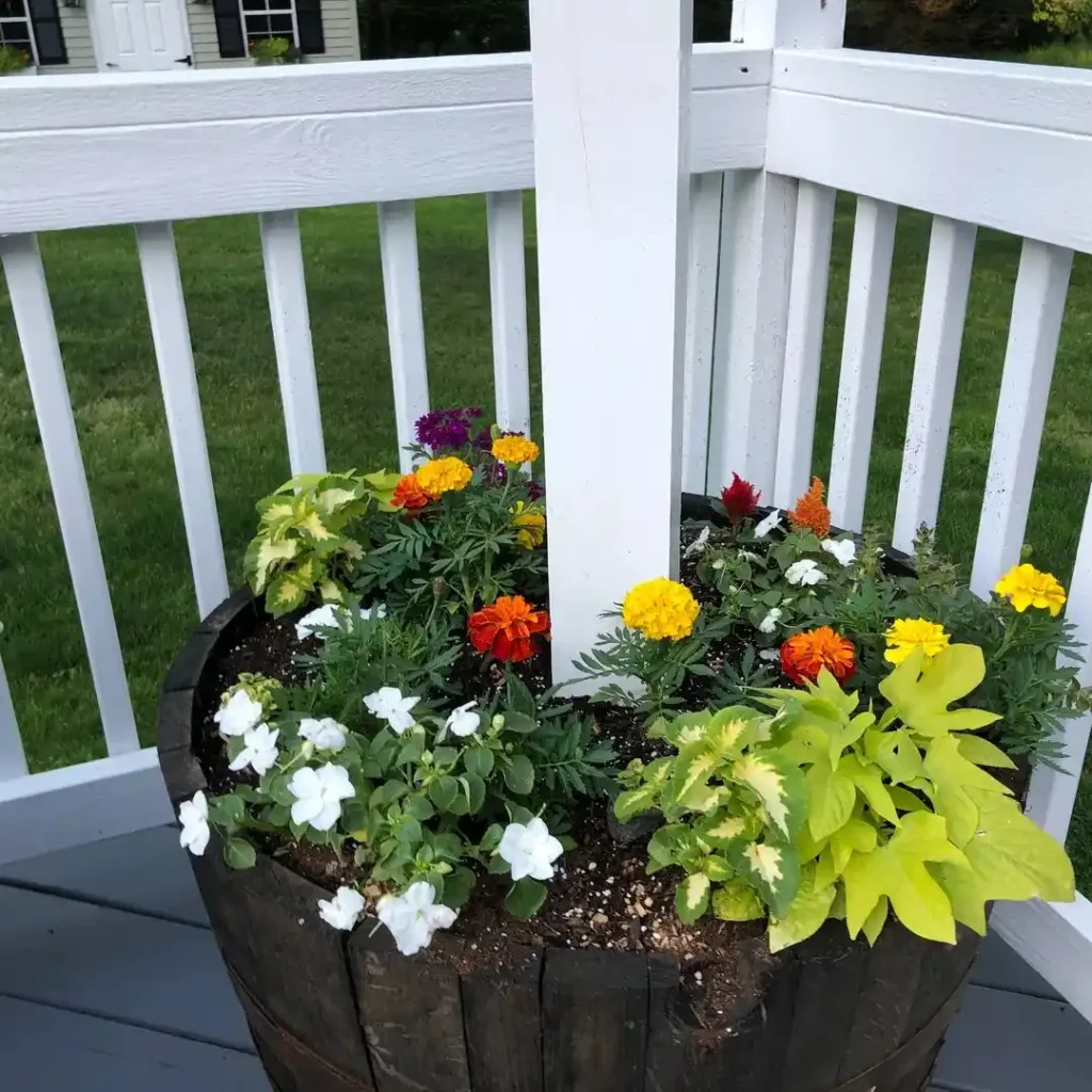 12 Antique Container Garden Ideas Vintage Charm for Any Space smallhometours.com 28