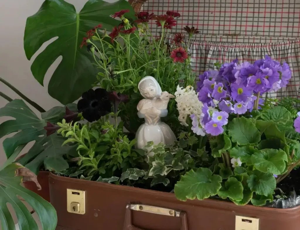 12 Antique Container Garden Ideas Vintage Charm for Any Space smallhometours.com 29