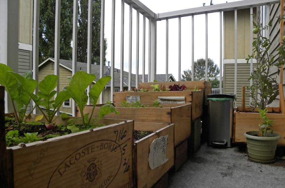 12 Antique Container Garden Ideas Vintage Charm for Any Space smallhometours.com 3