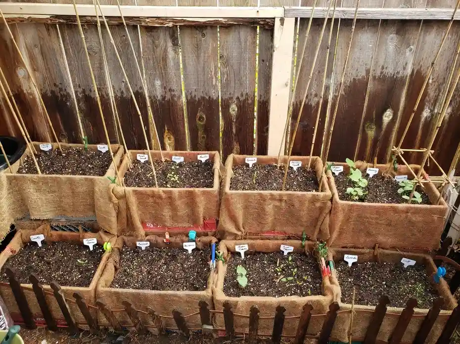 12 Antique Container Garden Ideas Vintage Charm for Any Space smallhometours.com 3