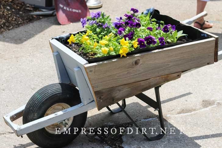 12 Antique Container Garden Ideas Vintage Charm for Any Space smallhometours.com 4