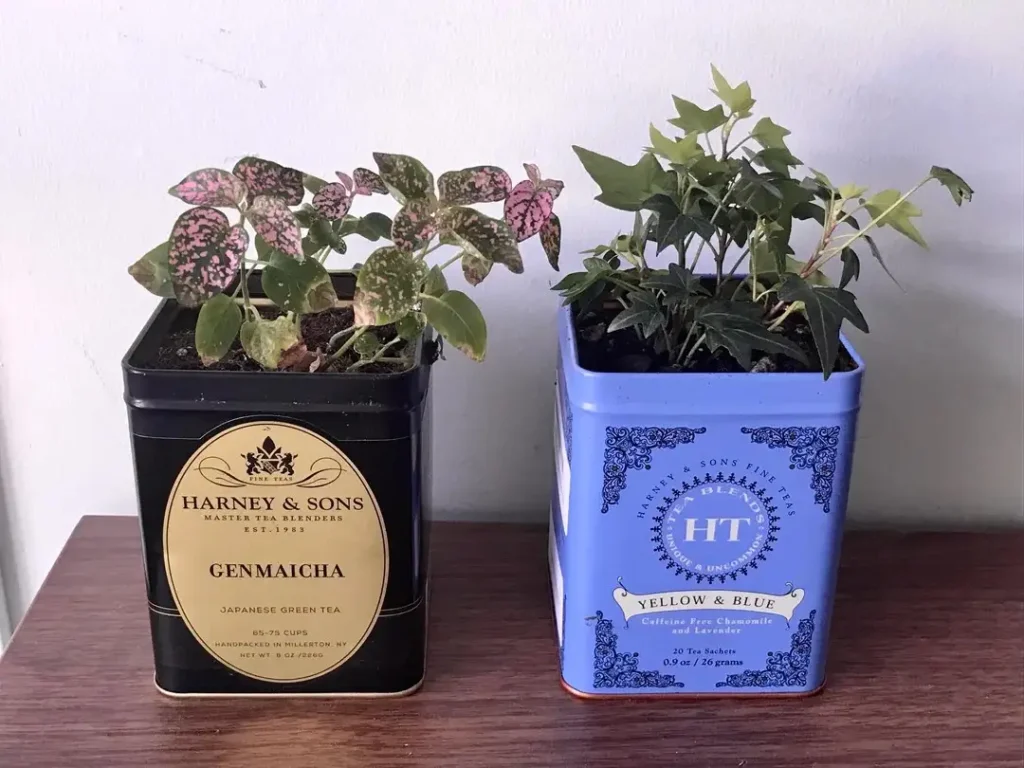 12 Antique Container Garden Ideas Vintage Charm for Any Space smallhometours.com 5