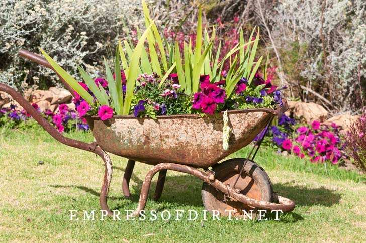 12 Antique Container Garden Ideas Vintage Charm for Any Space smallhometours.com 5