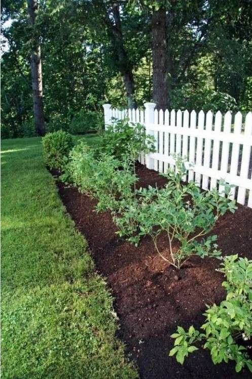 12 Edible Fence Ideas Beautiful Boundaries You Can Actually Harvest smallhometours 1