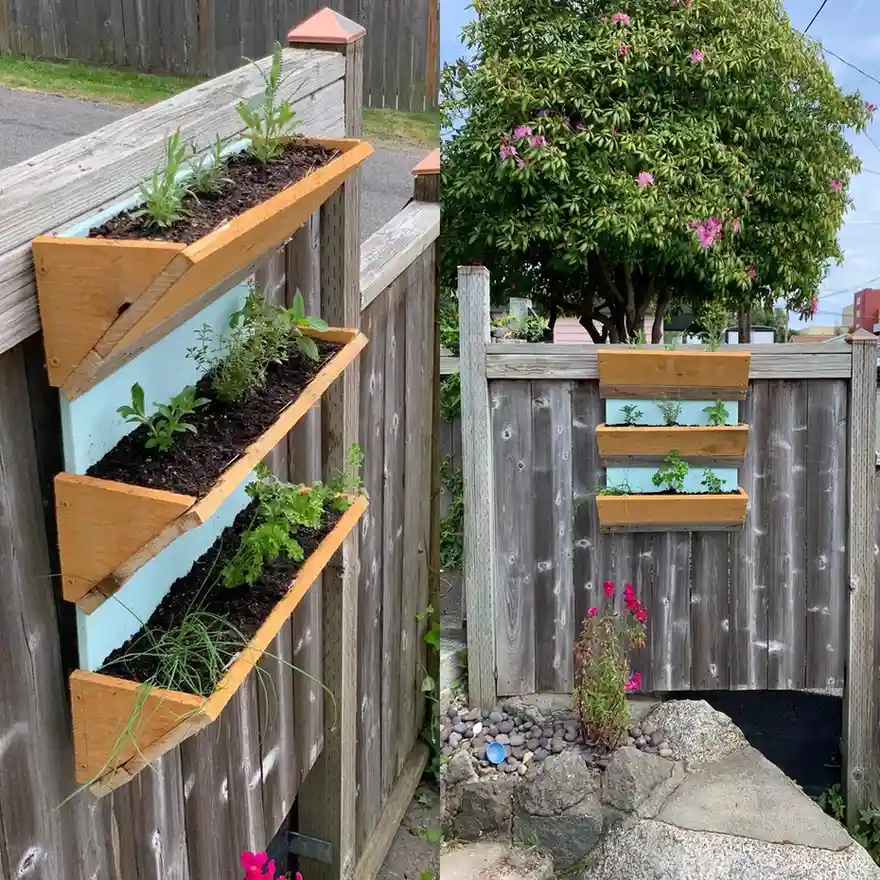 12 Edible Fence Ideas Beautiful Boundaries You Can Actually Harvest smallhometours 12