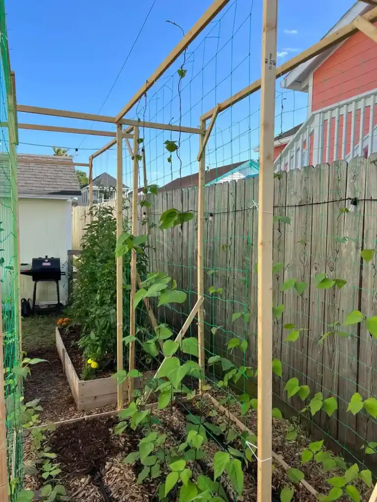 12 Edible Fence Ideas Beautiful Boundaries You Can Actually Harvest smallhometours 16