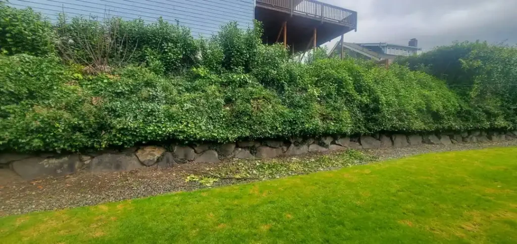 12 Edible Fence Ideas Beautiful Boundaries You Can Actually Harvest smallhometours 24