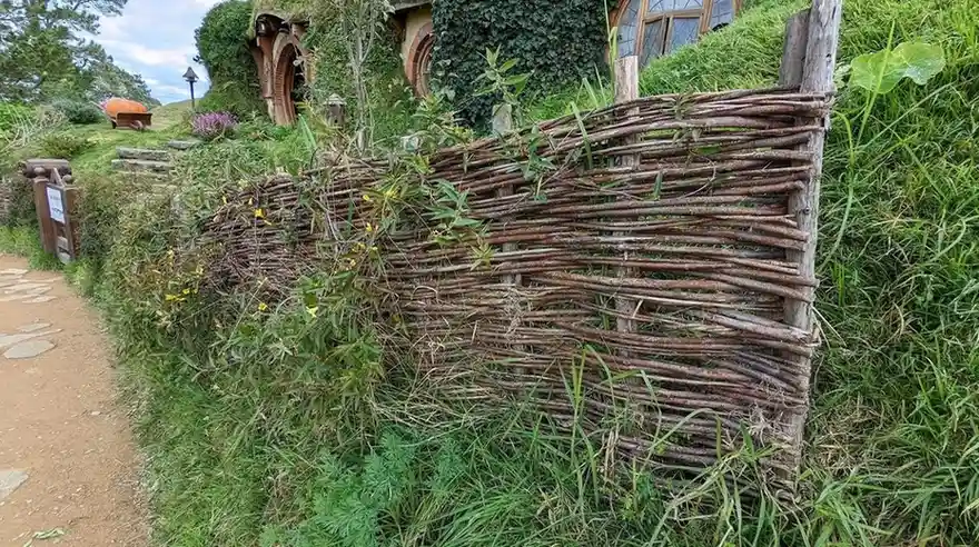 12 Edible Fence Ideas Beautiful Boundaries You Can Actually Harvest smallhometours 29