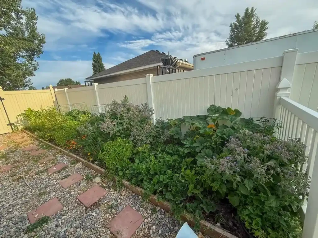 12 Edible Fence Ideas Beautiful Boundaries You Can Actually Harvest smallhometours 30