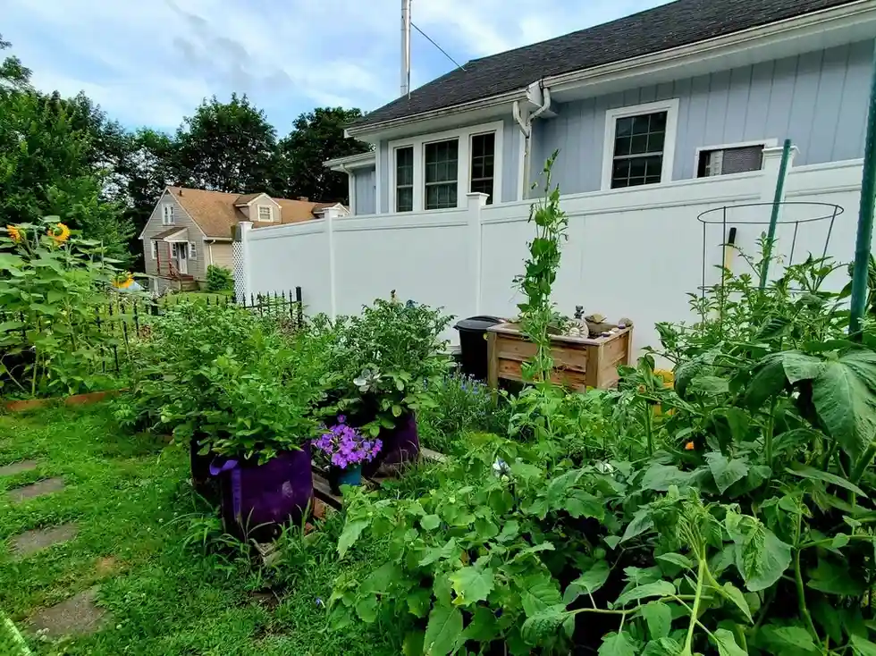 12 Edible Fence Ideas Beautiful Boundaries You Can Actually Harvest smallhometours 31