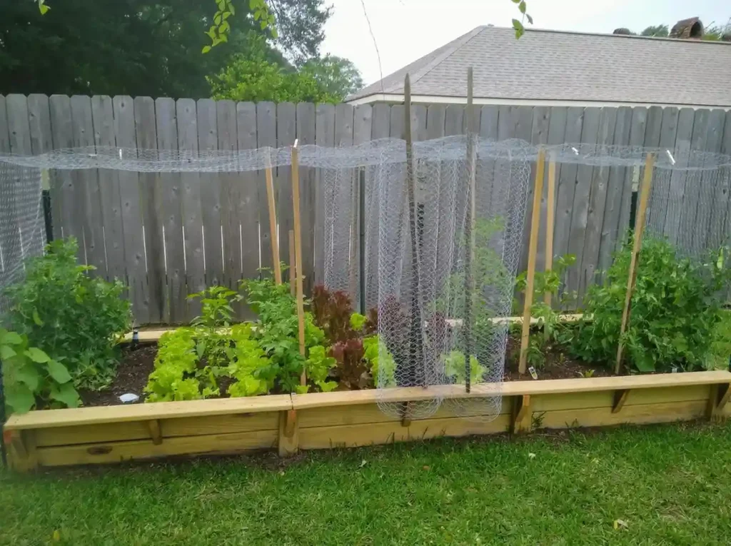 12 Edible Fence Ideas Beautiful Boundaries You Can Actually Harvest smallhometours 36
