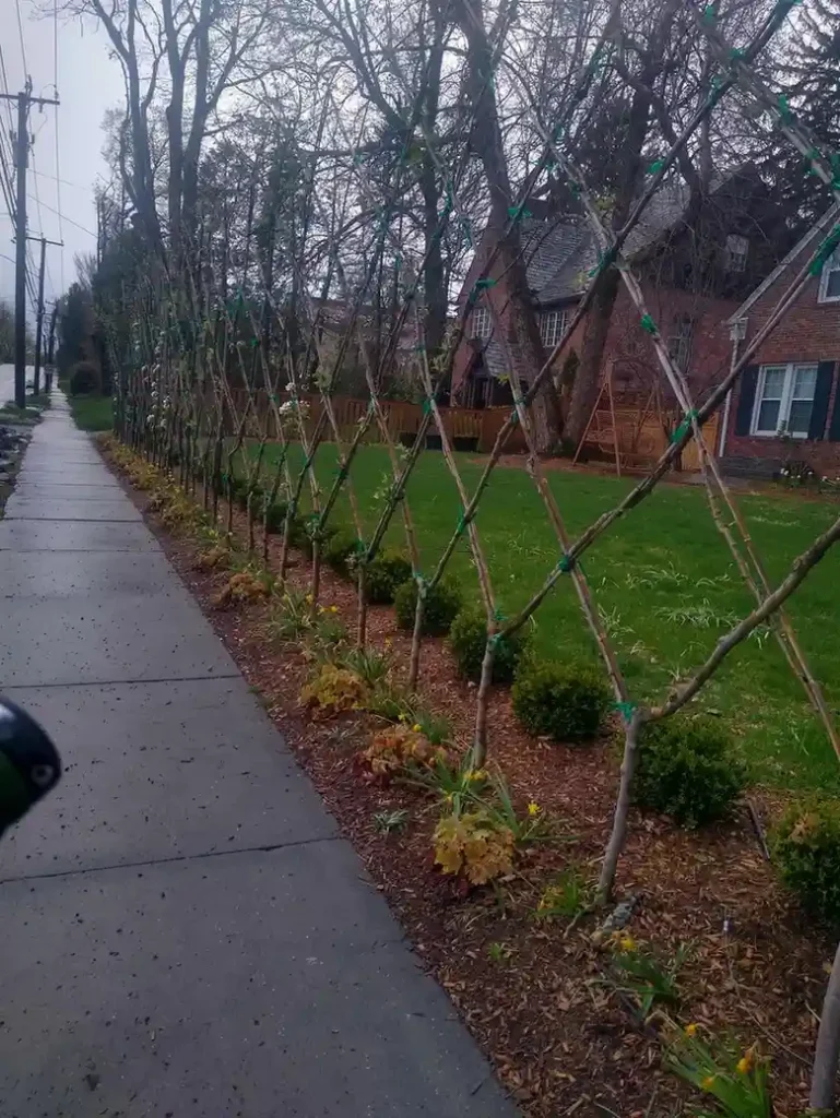 12 Edible Fence Ideas Beautiful Boundaries You Can Actually Harvest smallhometours 6 1