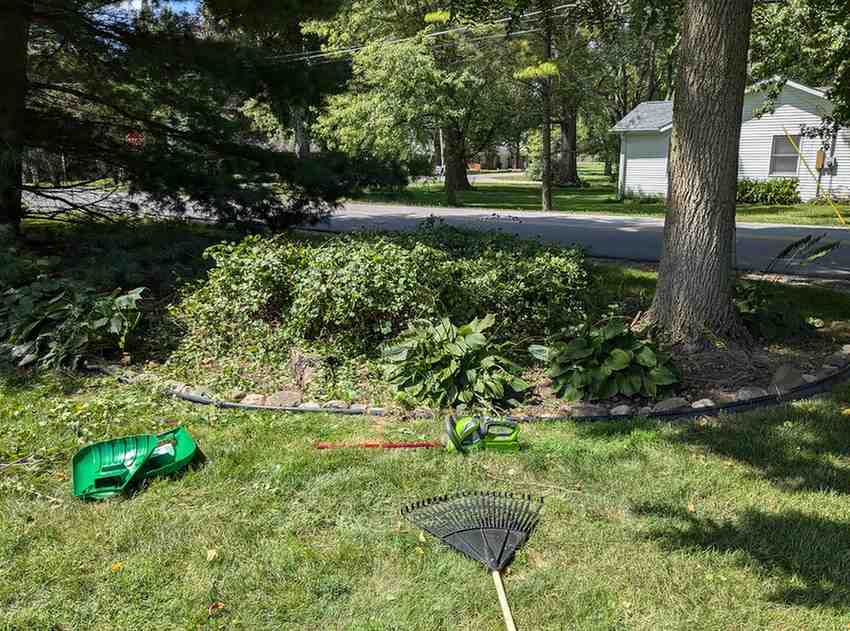 12 Edible Hedge Garden Ideas Beautiful Privacy You Can Harvest smallhometours.com 20