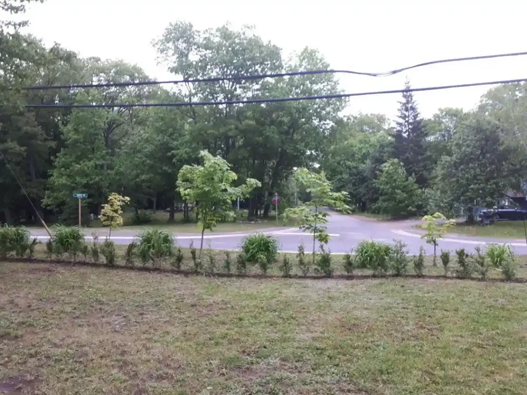 12 Edible Hedge Garden Ideas Beautiful Privacy You Can Harvest smallhometours.com 26