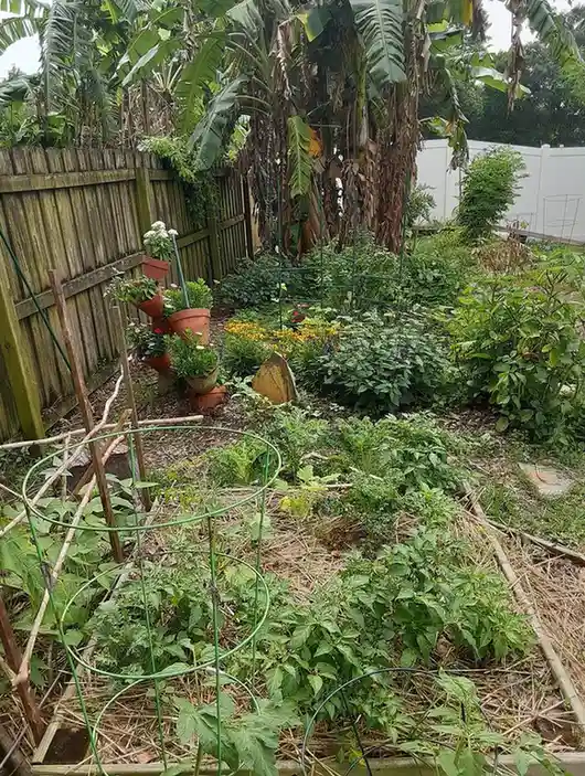 15 Mini Backyard Food Forest Garden Ideas Perfect for Small Spaces smallhometours.com 1