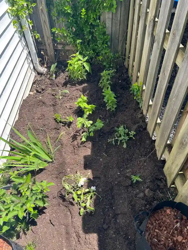 15 Mini Backyard Food Forest Garden Ideas Perfect for Small Spaces smallhometours.com 12