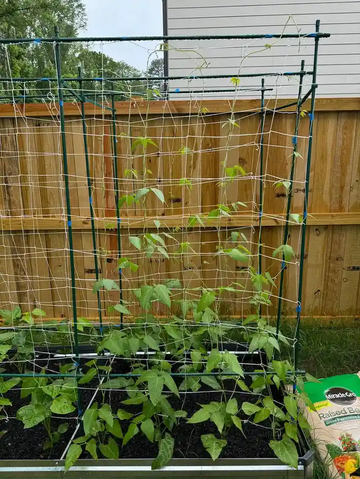 15 Mini Backyard Food Forest Garden Ideas Perfect for Small Spaces smallhometours.com 15