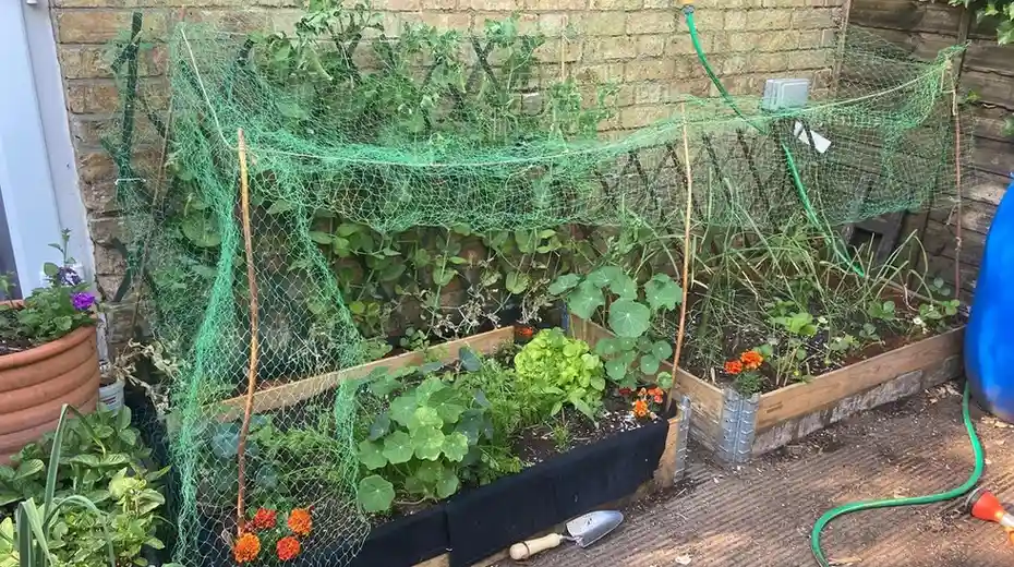 15 Mini Backyard Food Forest Garden Ideas Perfect for Small Spaces smallhometours.com 19