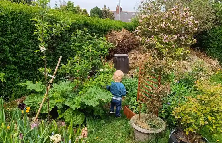 15 Mini Backyard Food Forest Garden Ideas Perfect for Small Spaces smallhometours.com 20