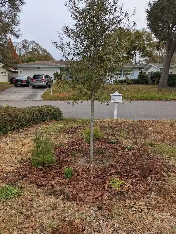 15 Mini Backyard Food Forest Garden Ideas Perfect for Small Spaces smallhometours.com 22