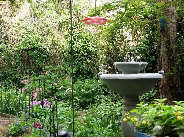 15 Mini Backyard Food Forest Garden Ideas Perfect for Small Spaces smallhometours.com 30