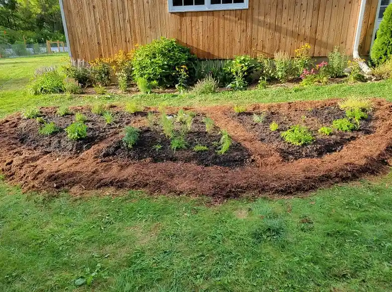 15 Mini Backyard Food Forest Garden Ideas Perfect for Small Spaces smallhometours.com 33