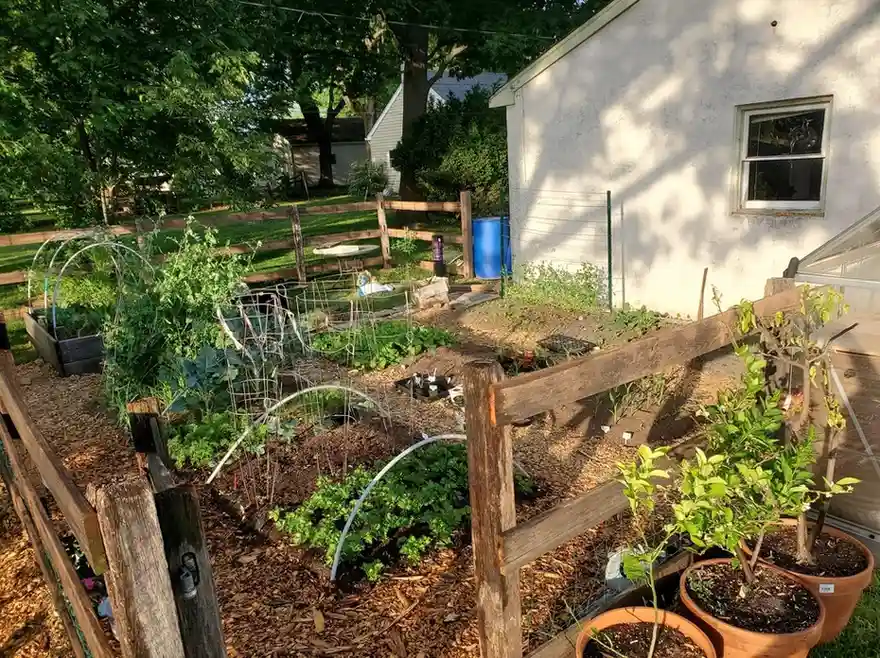 15 Mini Backyard Food Forest Garden Ideas Perfect for Small Spaces smallhometours.com 35