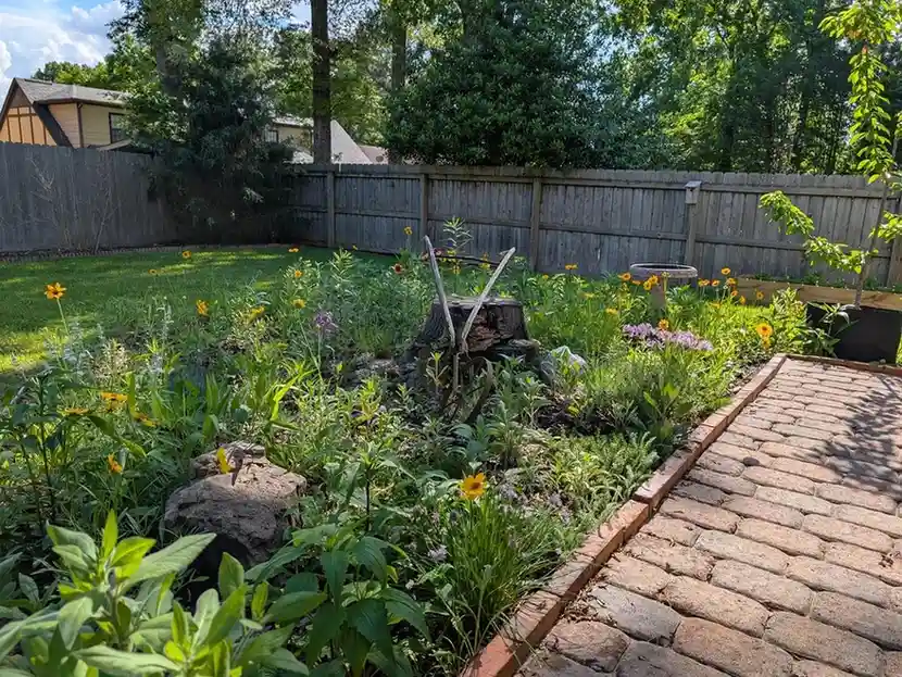 15 Mini Backyard Food Forest Garden Ideas Perfect for Small Spaces smallhometours.com 36