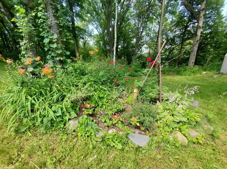 15 Mini Backyard Food Forest Garden Ideas Perfect for Small Spaces smallhometours.com 37