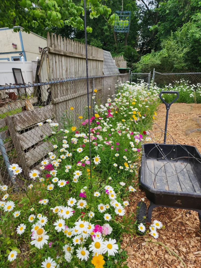 15 Mini Backyard Food Forest Garden Ideas Perfect for Small Spaces smallhometours.com 40